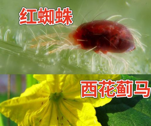 /upload/237164f5713ae05b/1d9b5aeb8a26a3e4.png