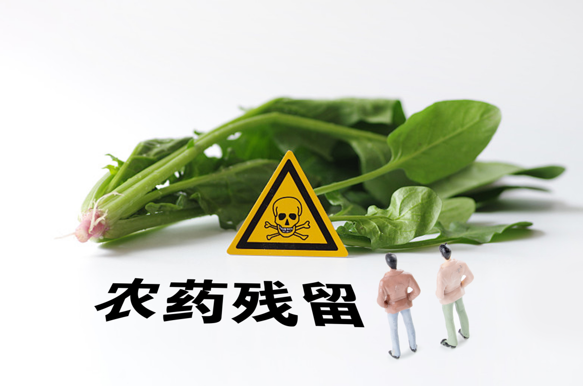 /upload/527fccf6eb91ae93/8b339787718d8034.png