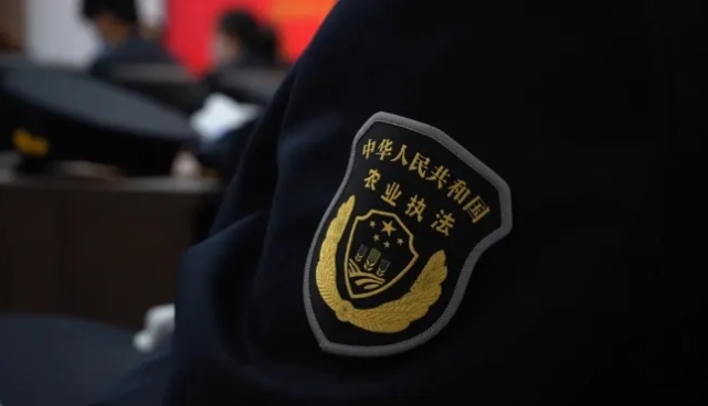 /upload/611c6abf52d37b61/8a4128dc6071ceb0.png