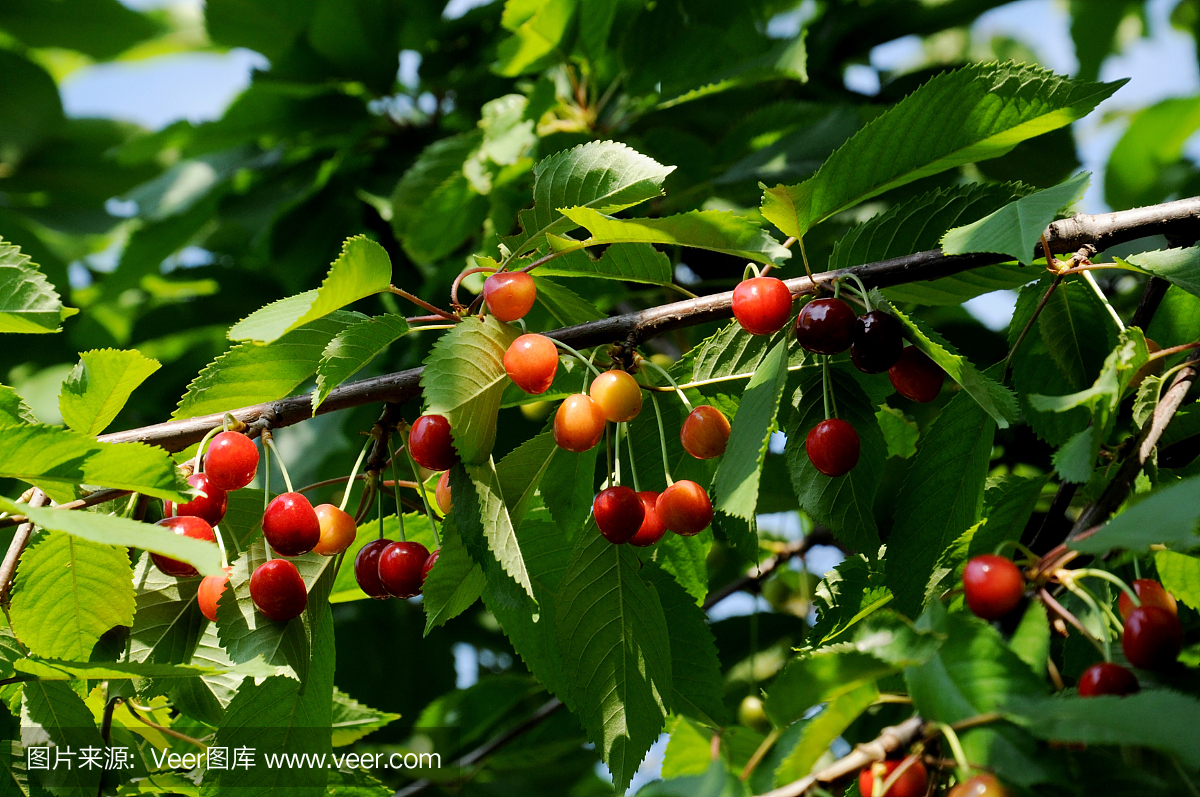 /upload/d8d98bcd9845b22e/31894a18831a98ac.jpg