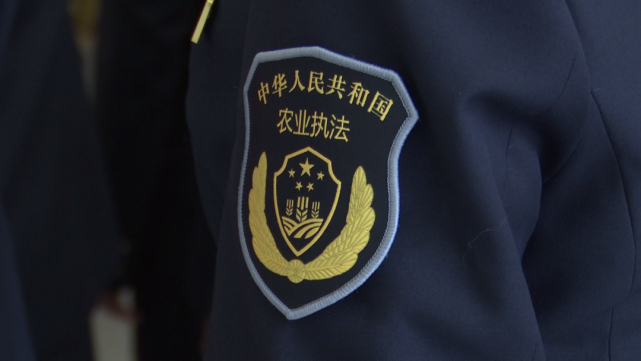 /upload/ef7d8390af2f741f/c6acfa14e6a063e0.png